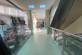 Миниатюра 5