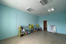 Миниатюра 3