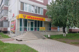 Миниатюра 2