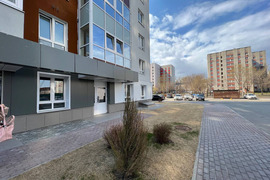 Миниатюра 3