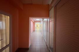 Миниатюра 3