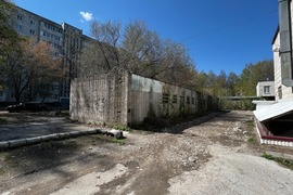 Миниатюра 3