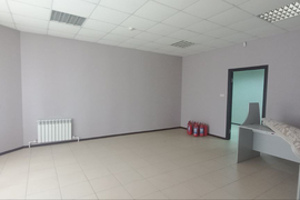 Миниатюра 3
