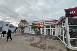 Миниатюра 3