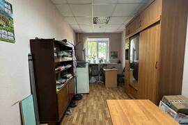 Миниатюра 5