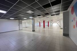 Помещение 510 м² с арендатором