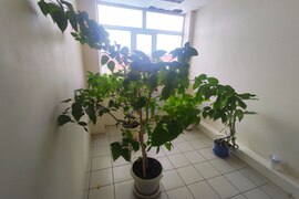 Склад Производство Офис  242 м²