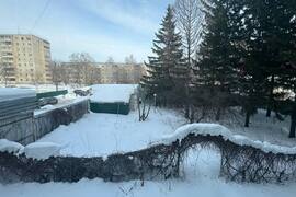 Миниатюра 3