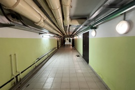 Миниатюра 4