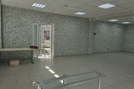 Миниатюра 3