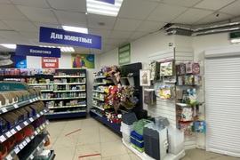 Миниатюра 2