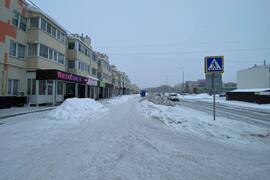 Миниатюра 5