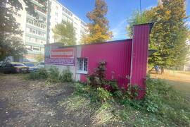 Миниатюра 2