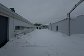 Миниатюра 4