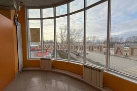 Миниатюра 5