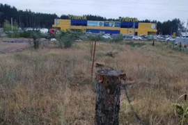 Миниатюра 5