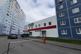 Миниатюра 3