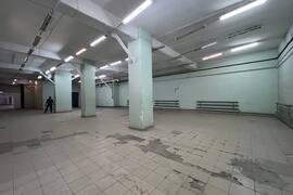 Помещение Торговое Склад 550 м²