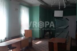 Миниатюра 5