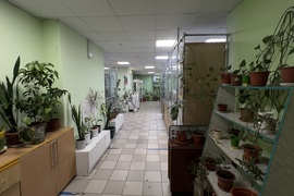 Миниатюра 5