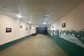 Миниатюра 3