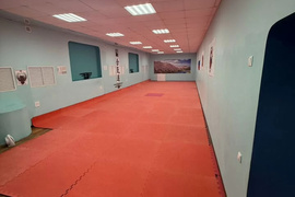Миниатюра 4