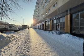 Миниатюра 4