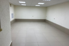 Миниатюра 5