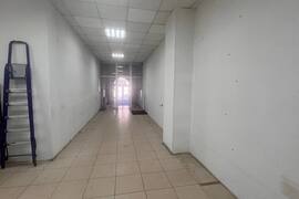 Миниатюра 3