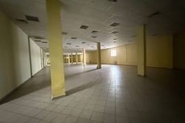 Помещение 1000-3000 м² в Звезде
