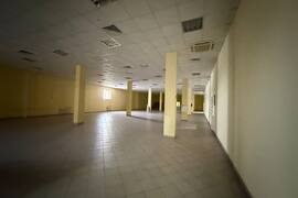 Помещение 1000-3000 м² в Звезде