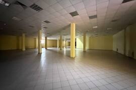 Помещение 1000-3000 м² в Звезде