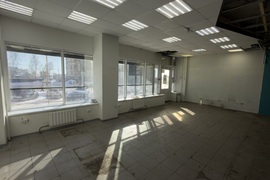 Миниатюра 3