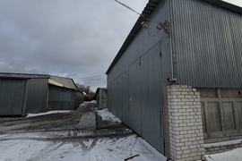 Миниатюра 5
