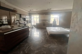 Помещение 248 м² под магазин на Радищева