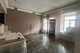 Помещение 248 м² под магазин на Радищева