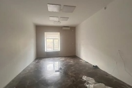 Помещение 248 м² под магазин на Радищева