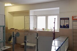 Миниатюра 4