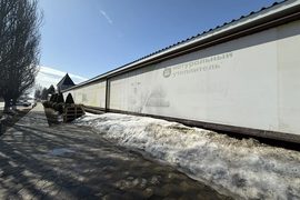 Миниатюра 4
