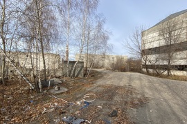 Миниатюра 4