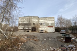 Миниатюра 5