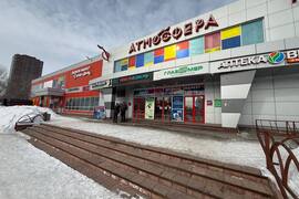 Миниатюра 5