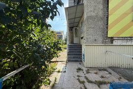 Миниатюра 3