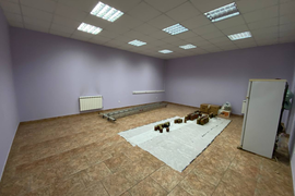Отдельно стоящее здание 420 м² 
