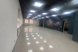 Миниатюра 3