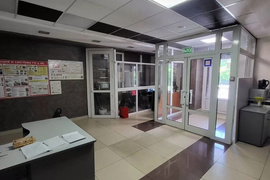 Миниатюра 5
