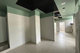 Миниатюра 4