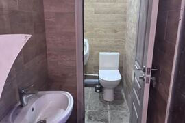 Миниатюра 5