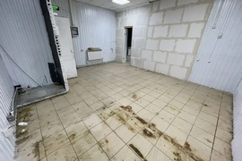 Нежилое помещение 61,1 м², 1 линия