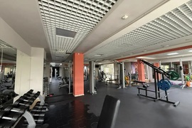 Коммерческая недвижимость 1527 м²